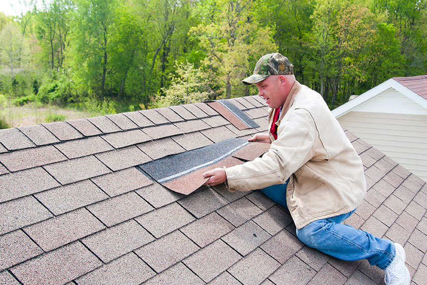Roof inspector