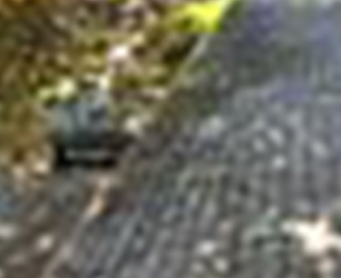 Full Roof Replacement — before